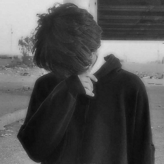 Hesham MAX