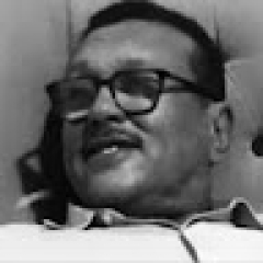 Alaa Salih